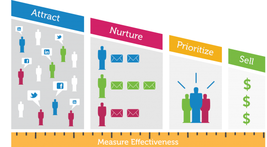 Marketing Automation Infographic